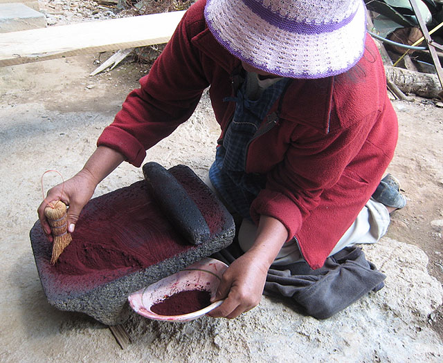 grinding-cochineal-on-metate_living-textiles-of-mexico